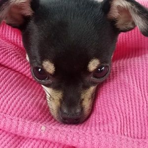 Meet your Posher, Kathy